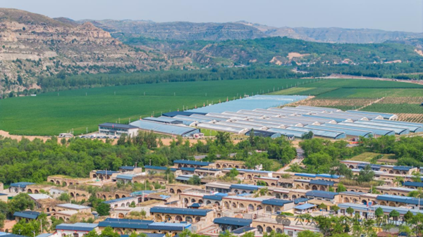 1762301034648225.png 44_副本.png