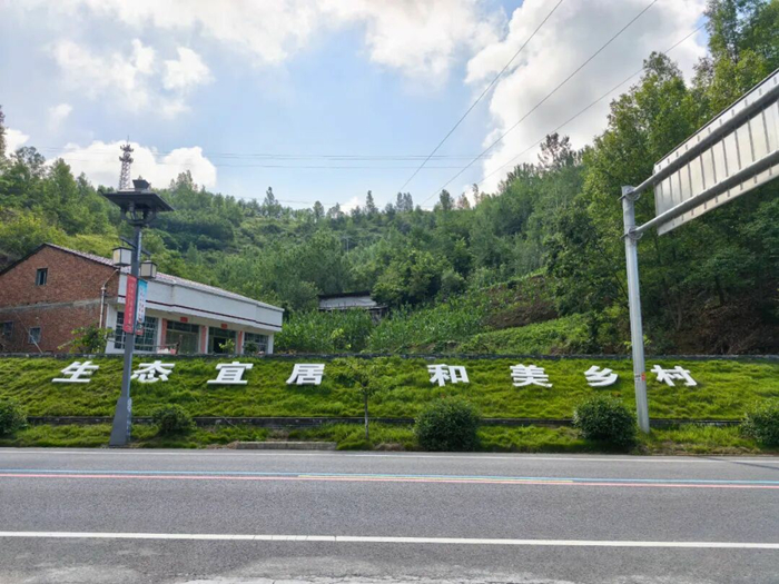 1763045593699889.jpeg 33_副本.jpg