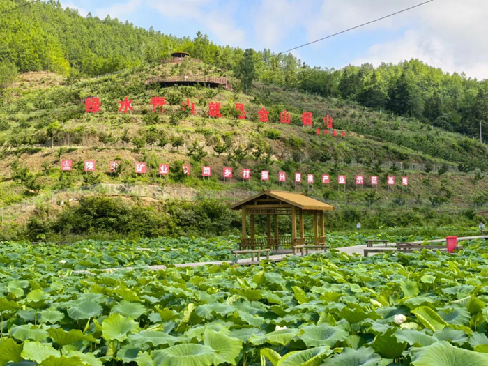 1763045605455702.jpeg 44_副本.jpg