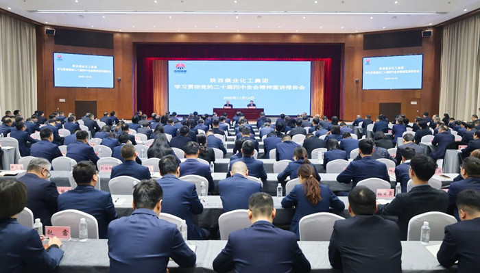 1763167374462197.jpeg 20251114184325_14352_副本.jpg