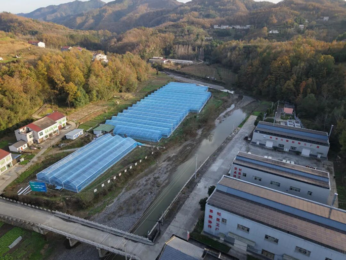 1764029270344454.jpeg 640_副本.jpg