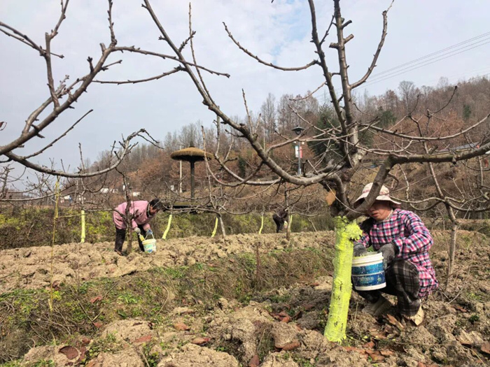 1765240013320486.jpeg 123_副本.jpg