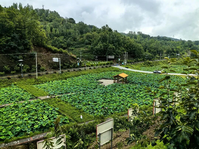 1772118558407488.jpeg 44.jpg