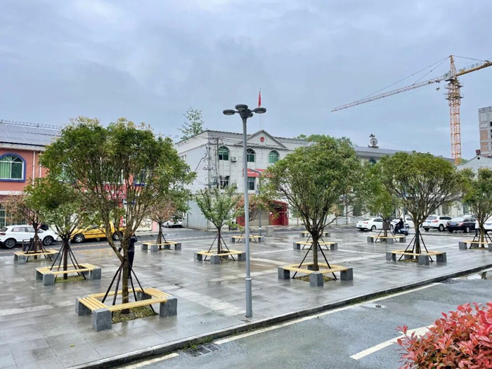 1772118575742137.jpeg 55.jpg