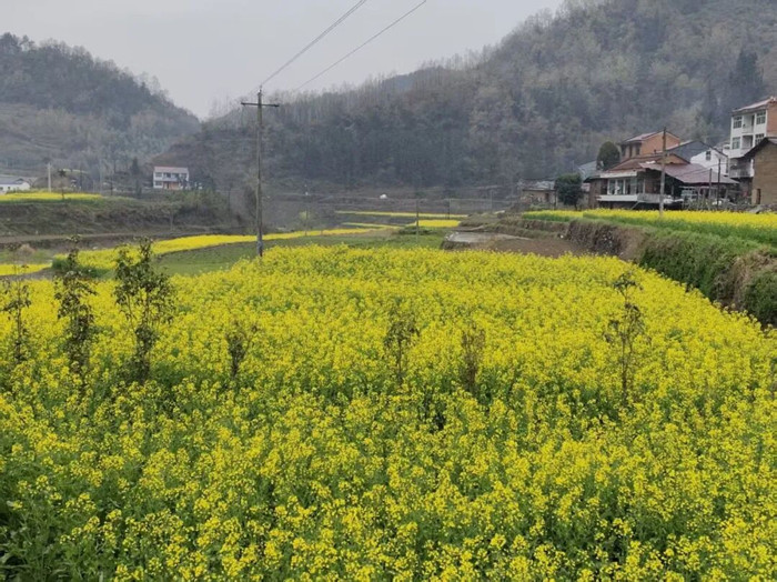 1774570745261698.jpeg 11_副本.jpg